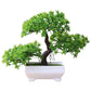 Planta Artificial Bonsai.