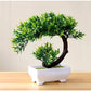 Planta Artificial Bonsai.